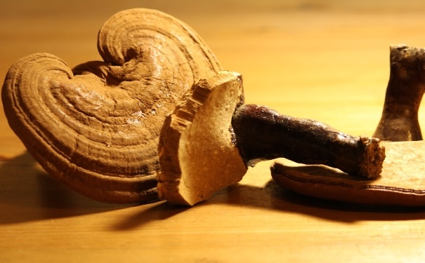 小孩子可以吃灵芝吗？小孩子吃灵芝有什么坏处？[图]