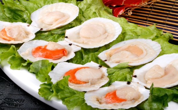 扇贝的功效与作用有哪些？扇贝有什么功效？(1)