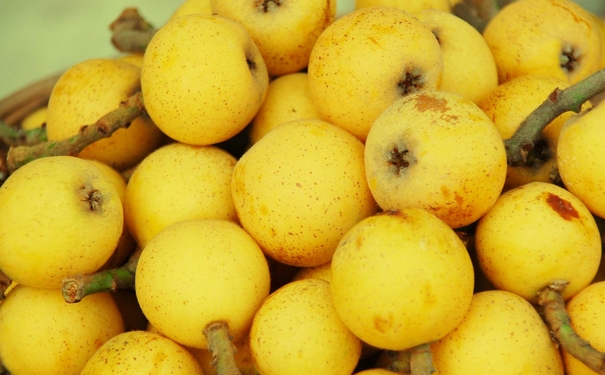 肺热有痰吃什么好呢？肺热有痰食疗吃什么？[图]