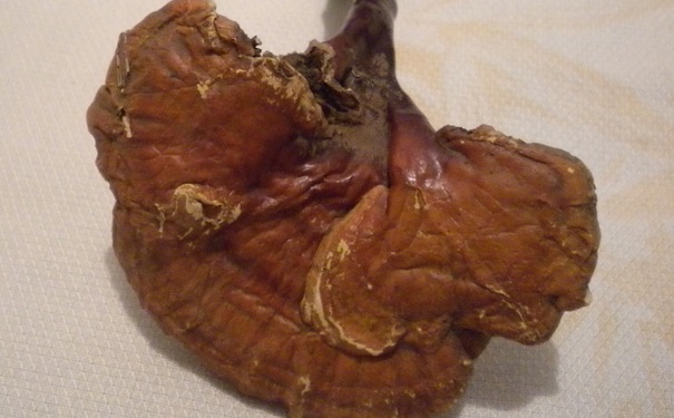 用灵芝泡酒喝有什么好处？灵芝泡酒应该怎么做？[图]