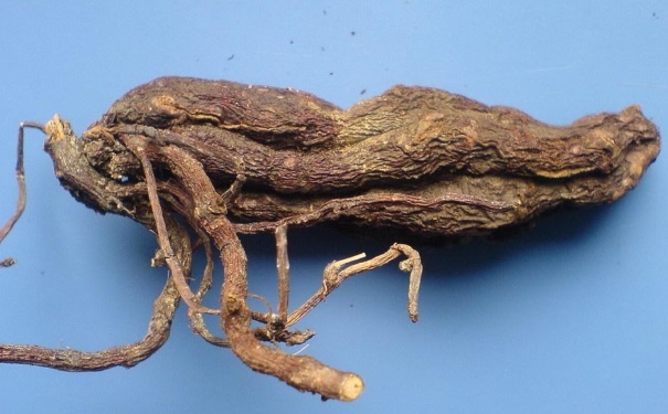 何首乌可以经常吃吗？经常吃何首乌有什么副作用吗？[图]