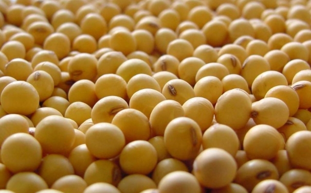 女人护肤吃什么食物好？女人吃哪些食物能美白？[图]