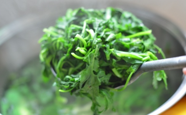 春季养生吃什么野菜好？哪些野菜养生效果好？[图]