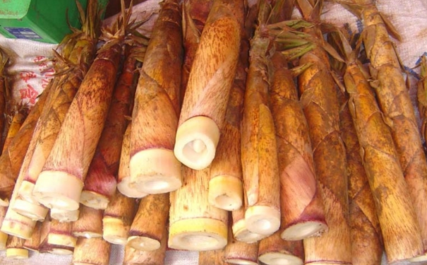 竹笋的功效和作用有哪些？竹笋有哪些功效作用？(1)