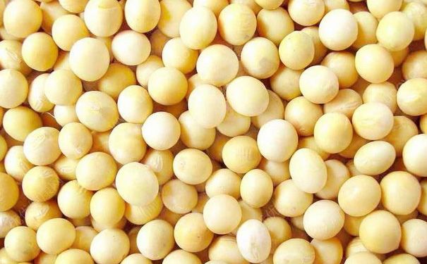 肾结石吃什么好？肾结石吃什么好得快？(1)