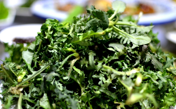 野菜可以吃的有哪些？春天哪些野菜可以吃？(1)