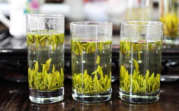 喝绿茶能减肥吗？喝绿茶禁忌有哪些？[图]