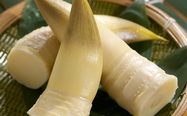 孕妇可以吃竹笋吗？早期孕妇可以吃竹笋吗？[图]