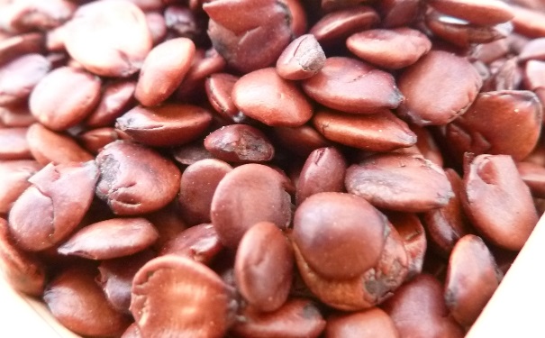 酸枣仁应该怎么吃？酸枣仁的吃法有哪些？[图]