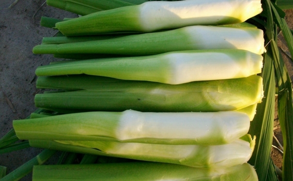 茭白怎么做才好吃？孕妇吃茭白有哪些好处？[图]