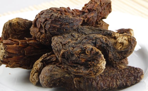 肉苁蓉泡茶喝有什么功效？哪些人不能吃肉苁蓉？(1)