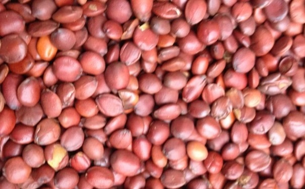 吃酸枣仁有什么好处？吃酸枣仁有什么副作用吗？[图]