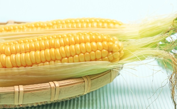 吃玉米有什么功效？多吃玉米能补充哪些营养？[图]