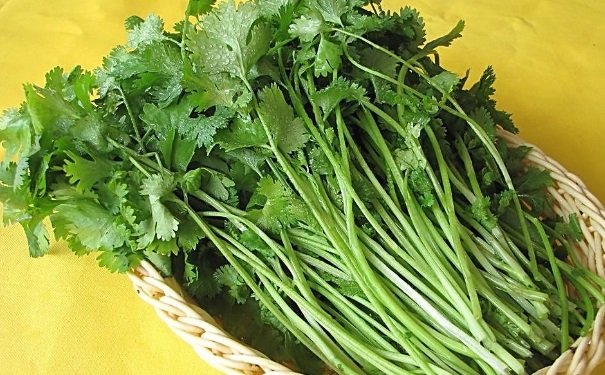 吃香菜有什么功效？香菜功效与作用[图]