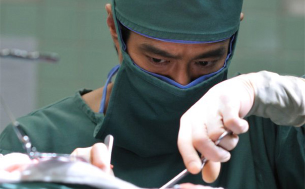 术后病人肠内营养支持并发腹泻是怎么回事？[图]