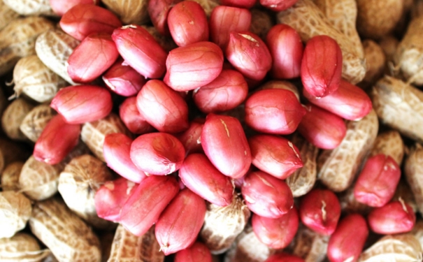 花生衣的功效与作用有哪些？花生衣有什么作用？[图]