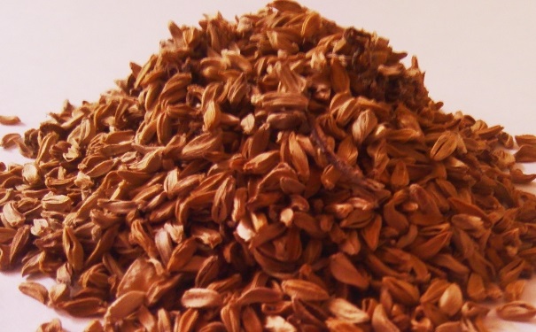 槟榔花可以治什么病？哪些人不能吃槟榔花？[图]