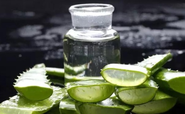 怎么使用芦荟美容？芦荟美容的方法有哪些？(1)