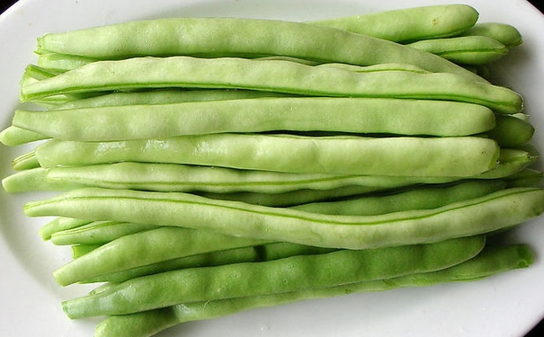 豆角有什么功效作用？豆角可做哪些食疗方？(1)