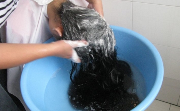 用醋洗头可以去虱子吗？用醋洗头能去虱子吗？[图]