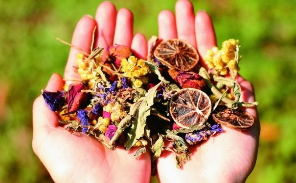 春季养生喝什么花茶好？哪些花茶适合春季喝？(1)