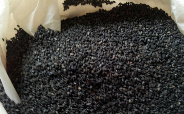 哪些常见食物可以补肾？有哪些常见补肾的食物？[图]