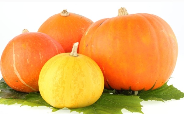 胃口不调好怎么调理？怎么调理肠胃比较好？[图]