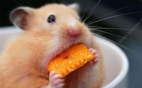 怎么样保护食管预防食道癌？食道癌患者的早期症状是什