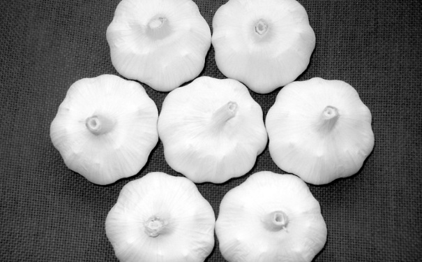 吃大蒜可以治疗腹泻么？大蒜能不能止泻？(1)