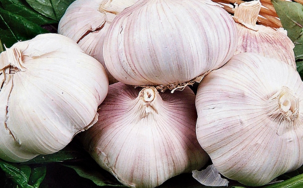 如何预防脑卒中呢？吃什么食物能预防脑卒中？[图]