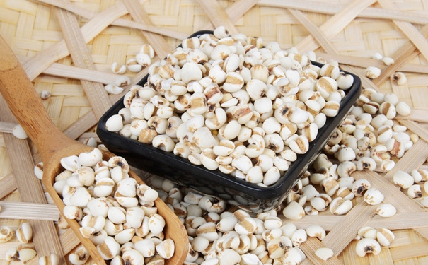 薏米有哪些饮食禁忌？哪些人不适合吃薏米？[图]