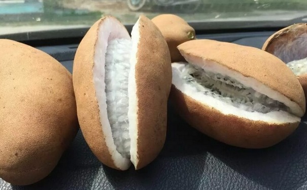 野香蕉味道怎么样？野香蕉有什么营养价值？(1)