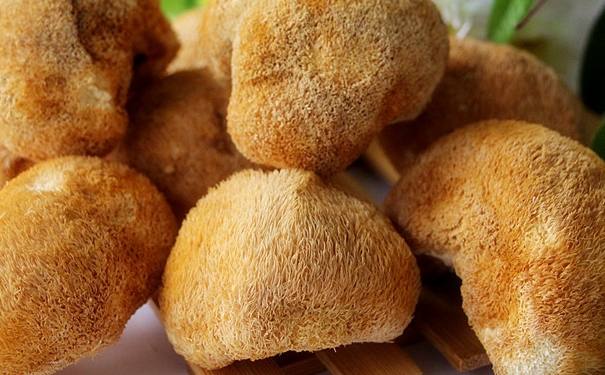 吃猴头菇养胃吗？猴头菇可以养胃吗？(1)