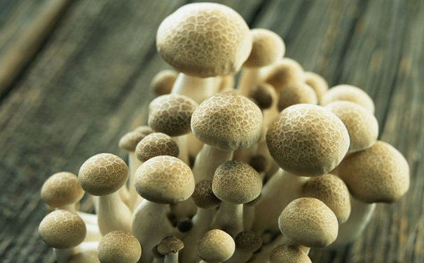 降血压的食物和水果有哪些？老人降压怎么吃？(1)
