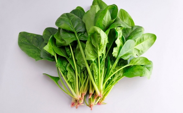 白癜风患者可以吃菠菜么？白癜风患者的饮食禁忌有哪些