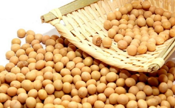 黄豆糖尿病人能吃吗？糖尿病能吃黄豆吗？[图]