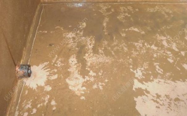 女子洗澡时花洒冲出虫子是什么原因？虫子是怎么跑到花洒中的？(3)