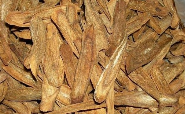 牛蒡茶的功效与作用有哪些？牛蒡茶有什么好处？(1)