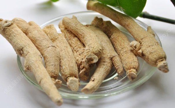 景天三七的功效与作用 景天三七和三七的区别(1)