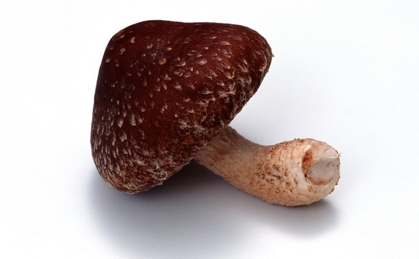 维生素A的功效是什么？吃什么能补充维生素A？(1)