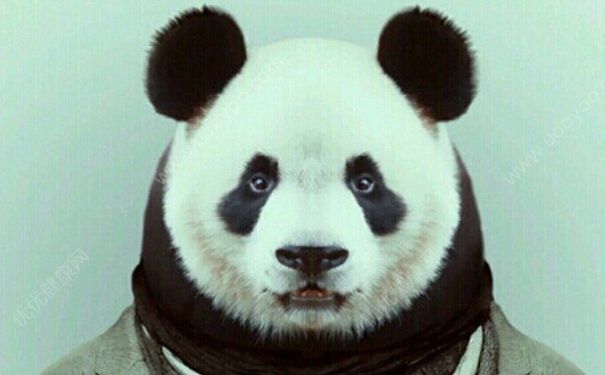 黑眼圈怎么去除？黑眼圈形成原因？[图]