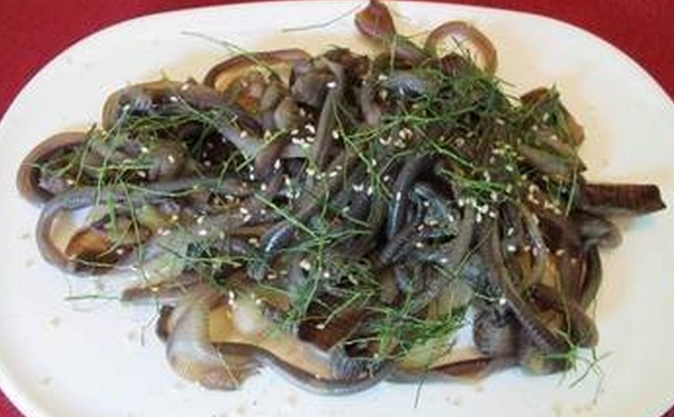 地龙的功效与作用？地龙怎么食用？(1)