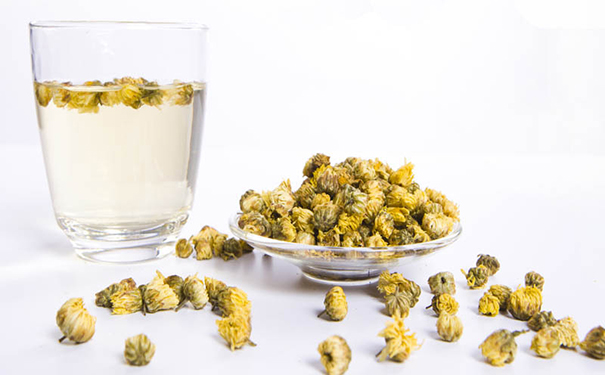菊花茶怎么喝最养生？哪些人不宜饮用菊花茶？(1)