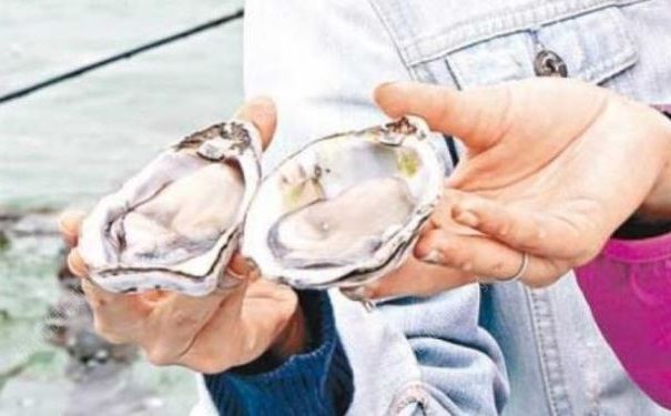 日本福岛惊现巨型生蚝，吃生蚝有什么好处和坏处？(3)