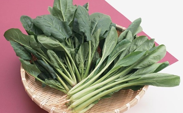 哪些绿叶蔬菜对身体好？吃什么绿叶蔬菜好？(1)