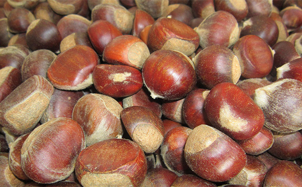 糖尿病人一般能吃板栗吗？糖尿病人吃板栗该注意什么？[