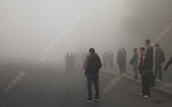雾霾中小学生上学迷路，雾霾很大怎么办？(3)