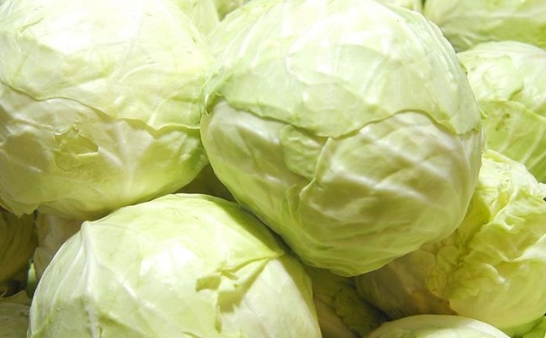 大头菜的营养价值有多高？大头菜的饮食宜忌有哪些？(1)
