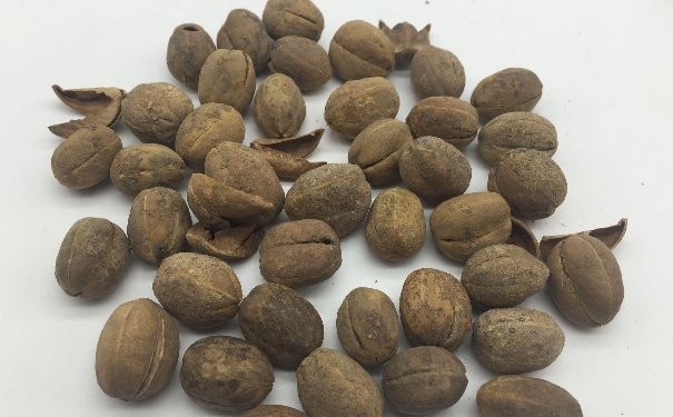 便秘能吃巴豆吗？巴豆能不能治疗便秘？(1)