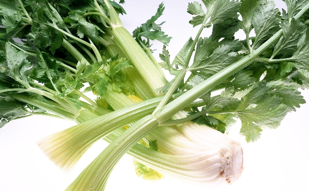 高血脂芹菜可以吃吗？高血脂可以吃芹菜吗？(1)